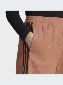 Шорты Adidas Adicolor модель IC5451 Фото