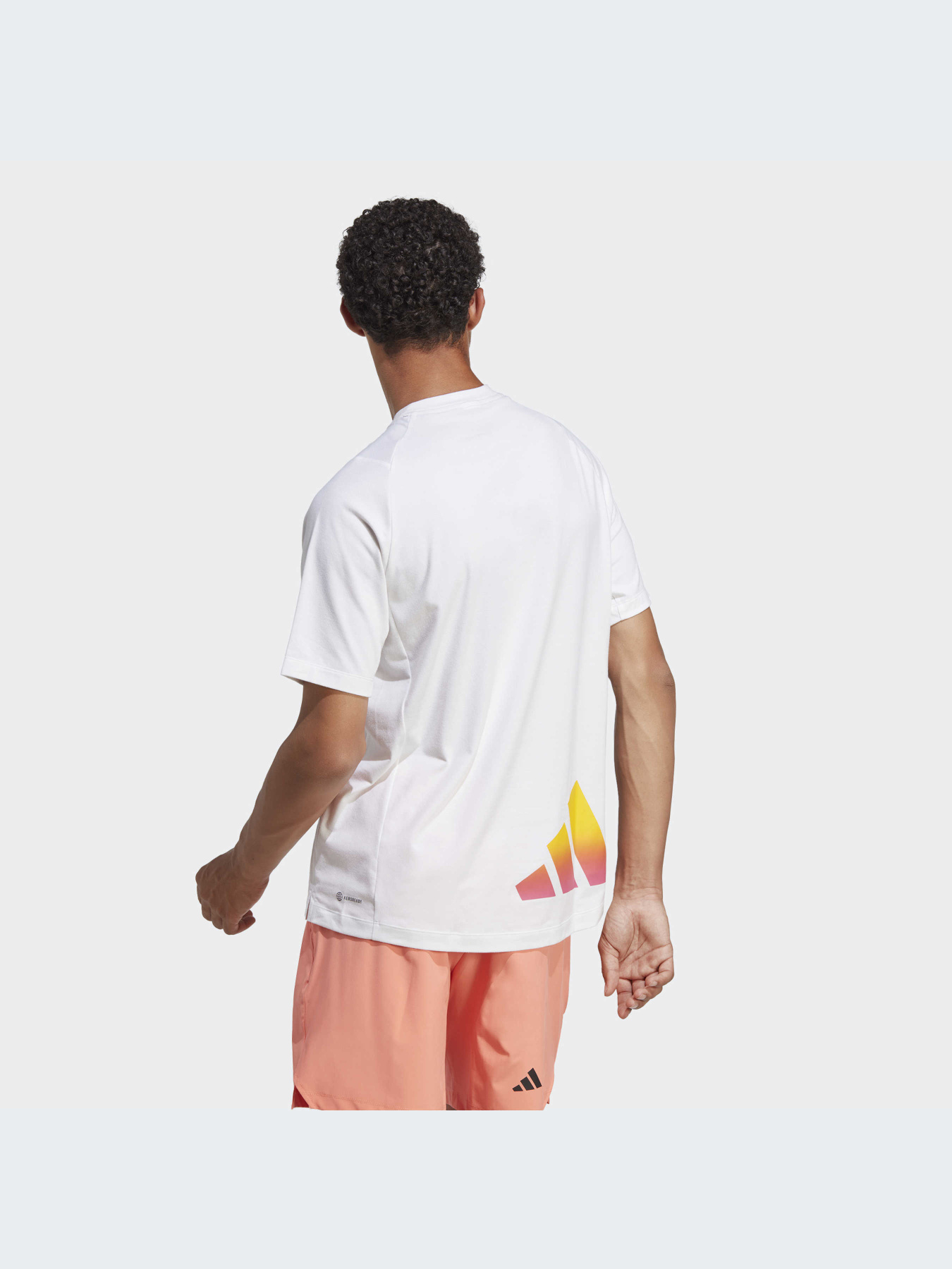 Футболка спортивная Adidas модель IC5491 Фото