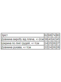 Одежда для младенцев Носи своє модель 5010-023-33-5-blij-zebra Фото