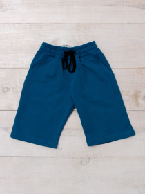 Шорты Носи своє модель 6208-057-temna-bryuza Фото