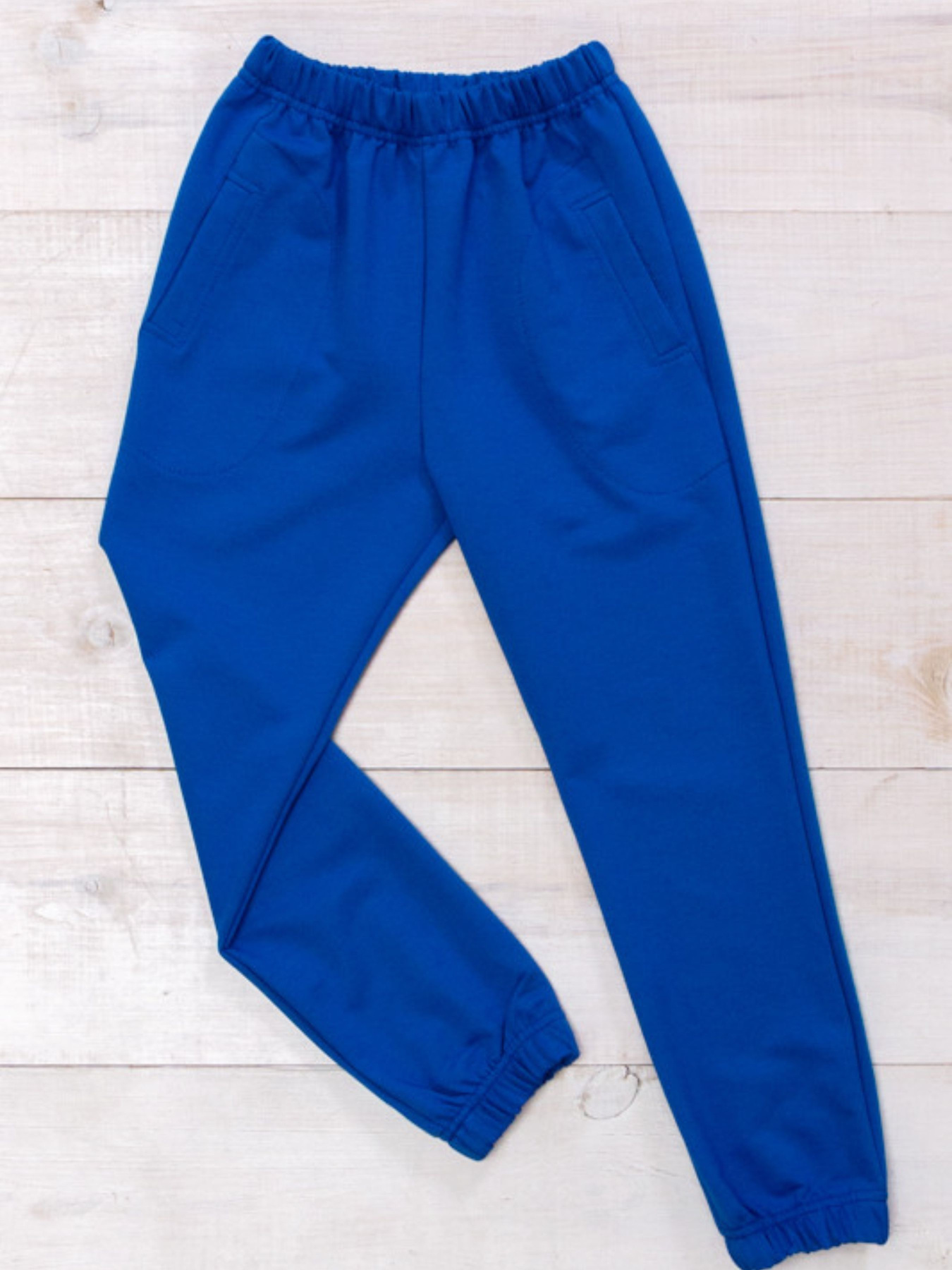 Джоггеры Носи своє модель 6060-057-4-nebesno-sinj Фото