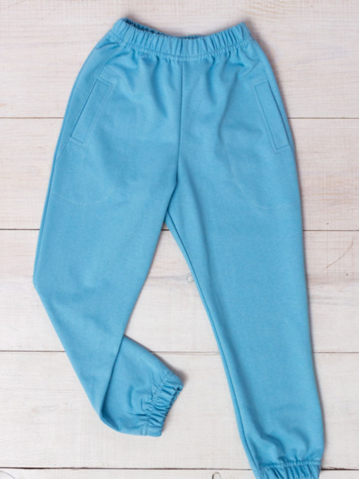 Джоггеры Носи своє модель 6060-057-4-blakitnij Фото