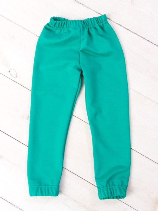 Джоггеры Носи своє модель 6155-057-5-temno-mentolovij Фото