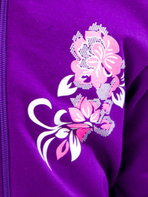 Спортивный костюм Носи своє модель 6018-023-33-foletovij Фото