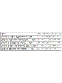 Спортивный костюм Носи своє модель 6018-023-33-foletovij Фото