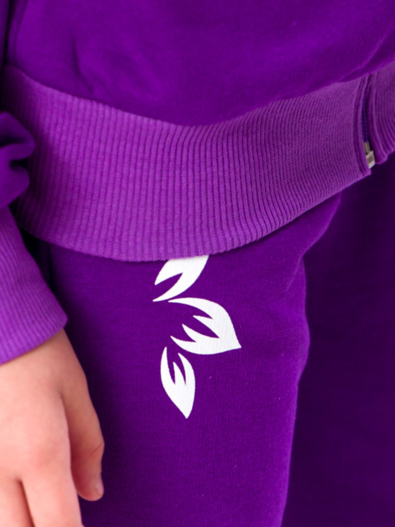 Спортивный костюм Носи своє модель 6018-023-33-foletovij Фото