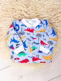 Кофта Носи своє модель 5036-024-4-dinozavr-blakitnij Фото