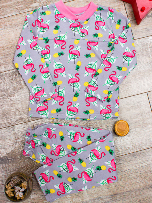 Піжама Носи своє модель 6077-024-5-flamngo-srij Фото