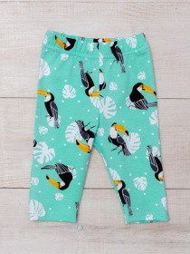 Велосипедки Носи своє модель 6001-043-tukan-m-qta Фото