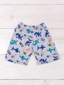 Повсякденні шорти Носи своє модель 6091-002-akuli-srij Фото