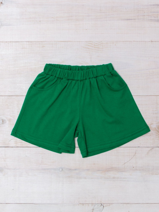 Шорты Носи своє модель 6262-001-zelenij Фото