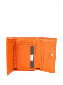 Гаманець Bella Bertucci модель 305-374 Фото