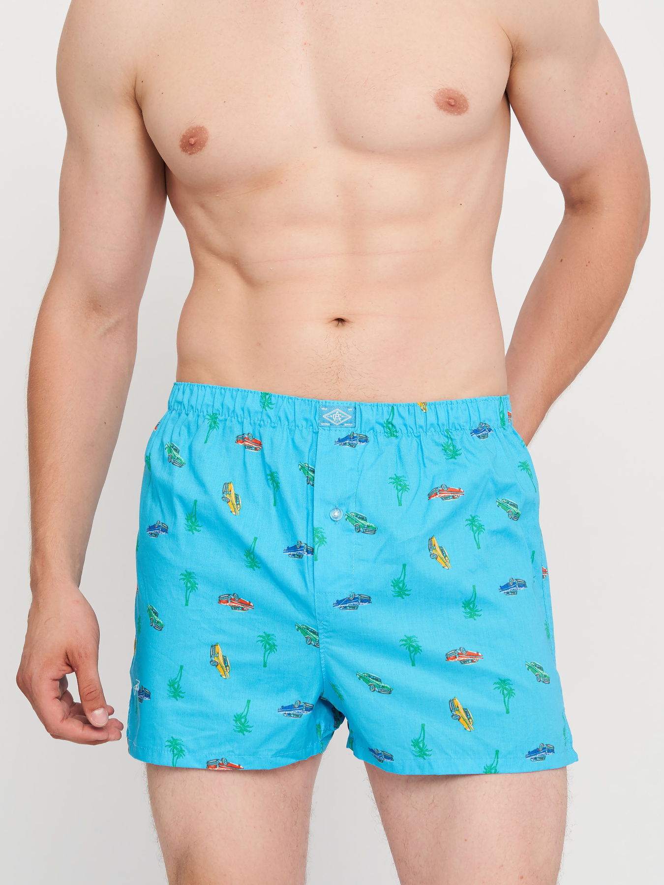 Трусы C&A модель 68160 Трусы C&A модель 68160 Фото