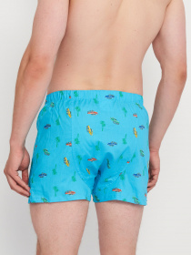 Трусы C&A модель 68160 Трусы C&A модель 68160 Фото