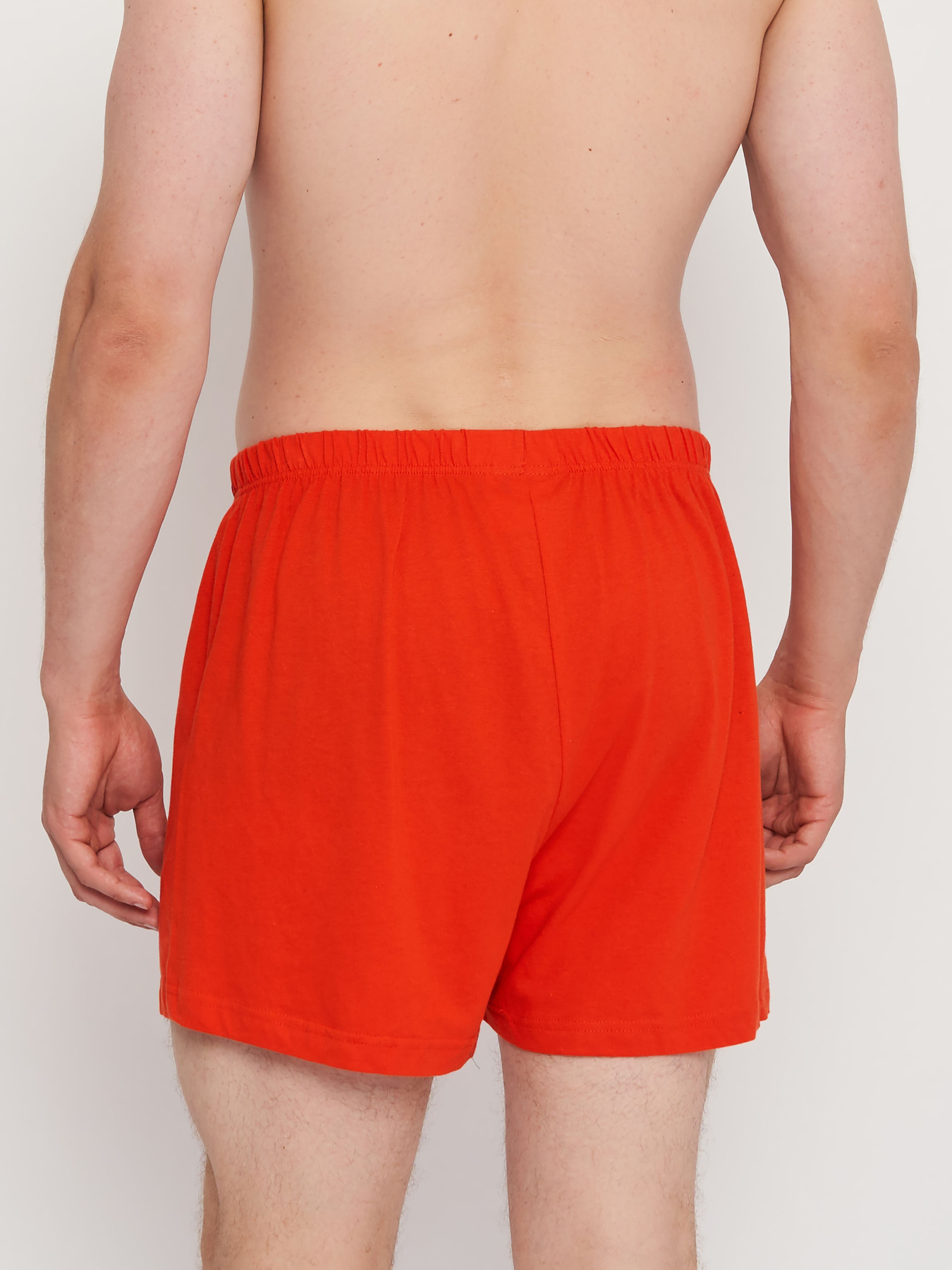 Набор трусов C&A модель 68227 Фото