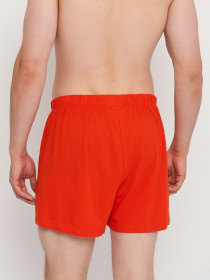 Набор трусов C&A модель 68227 Фото