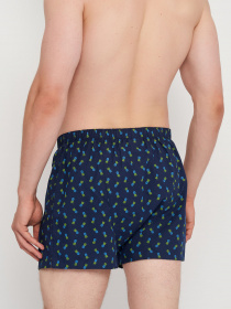 Трусы C&A модель 68267 Трусы C&A модель 68267 Фото