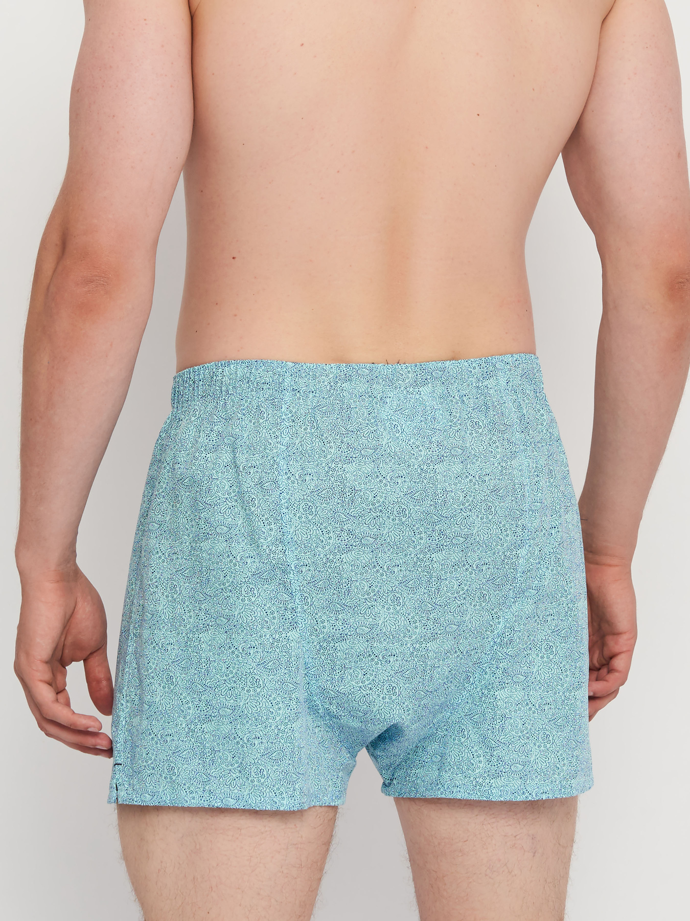 Набор трусов C&A модель 68264 Набор трусов C&A модель 68264 Фото