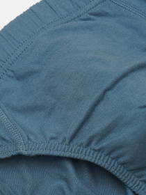 Трусы C&A модель 68357 Фото