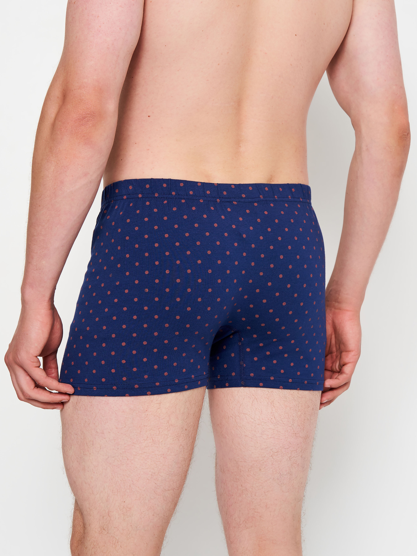 Набор трусов C&A модель 68499 Фото