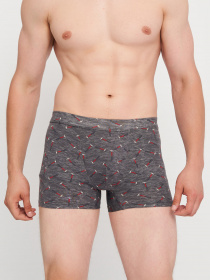 Трусы C&A модель 68195 Фото