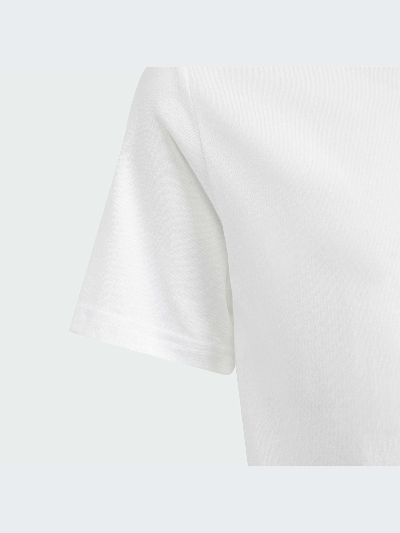 Футболка Adidas модель IB4093 Фото