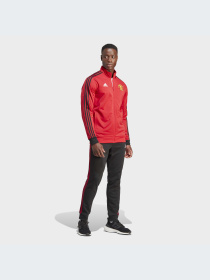 Спортивная кофта Adidas модель IA8534 Фото