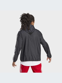 Ветровка Adidas модель IB0378 Фото