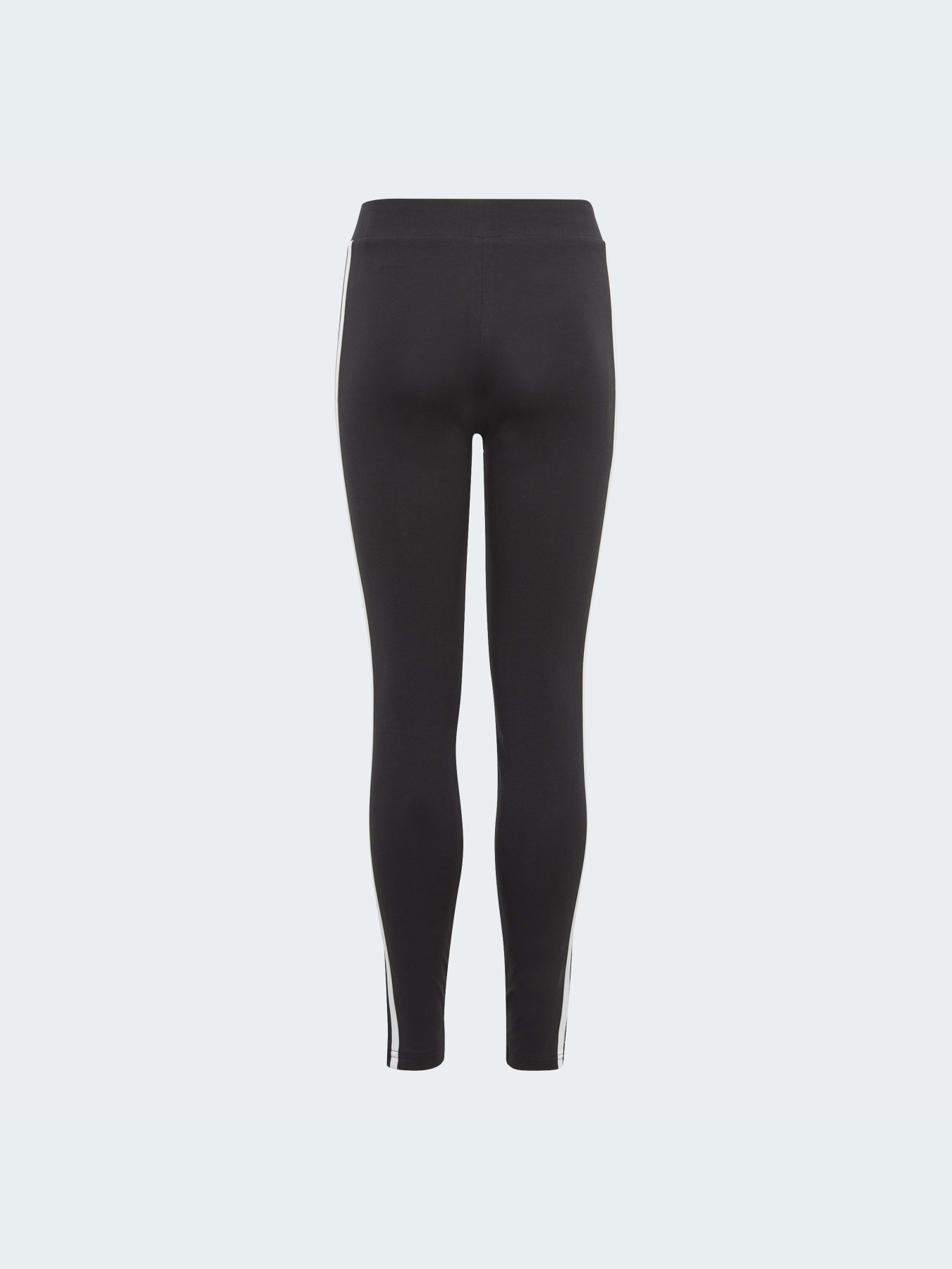 Легінси Adidas модель IC3623 Фото