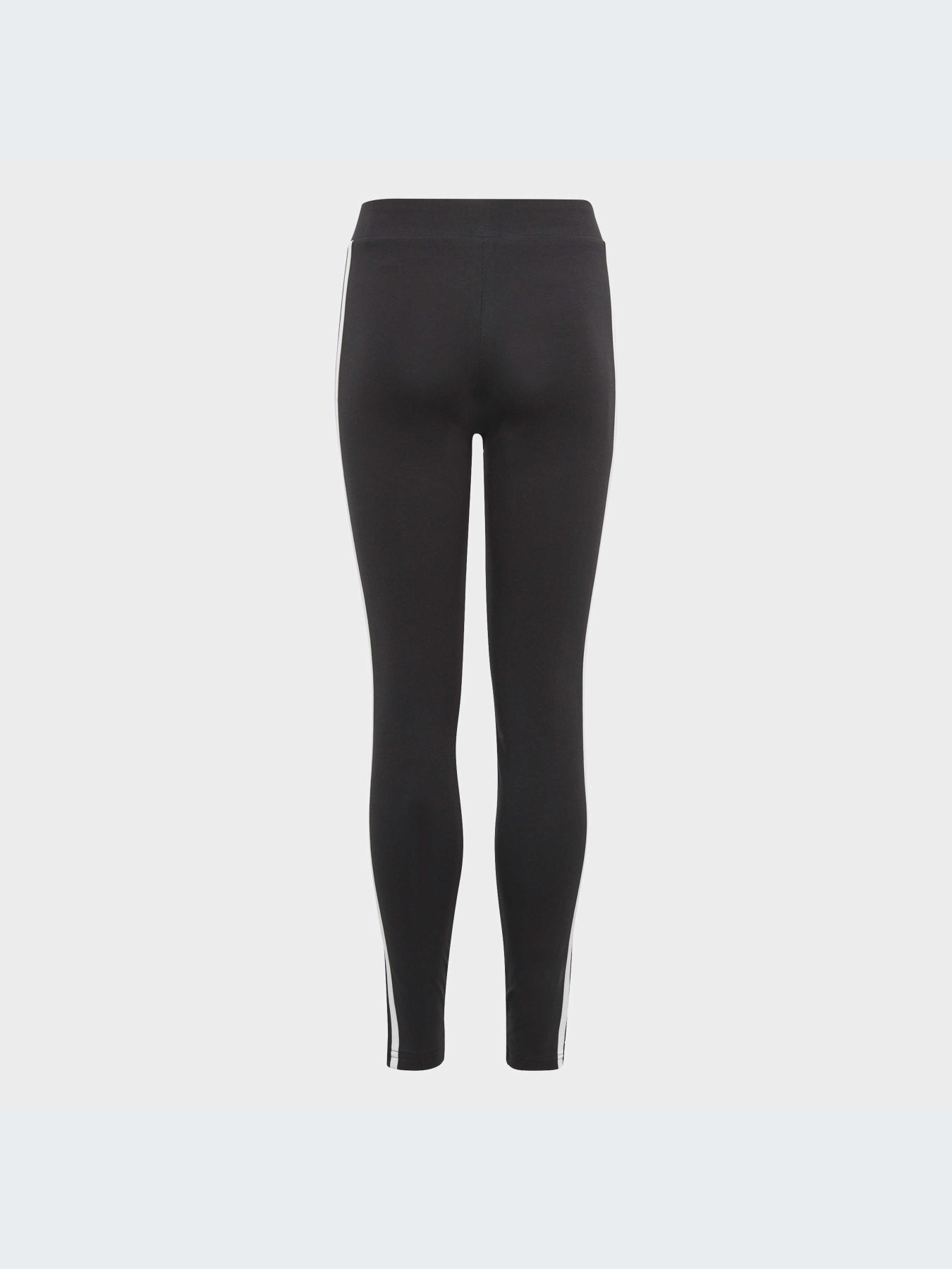 Легінси Adidas модель IC3623 Фото