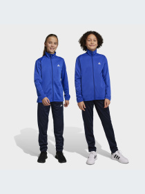 Спортивный костюм Adidas модель HR6408 Фото