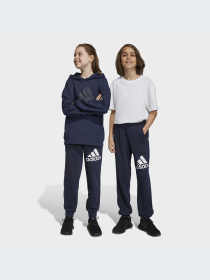 Джогери Adidas модель HR6383 Фото