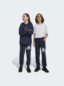 Джогери Adidas модель HR6383 Фото