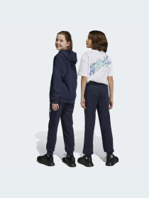 Джогери Adidas модель HR6383 Фото