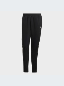 Штаны спортивные Adidas модель HR6611 Фото