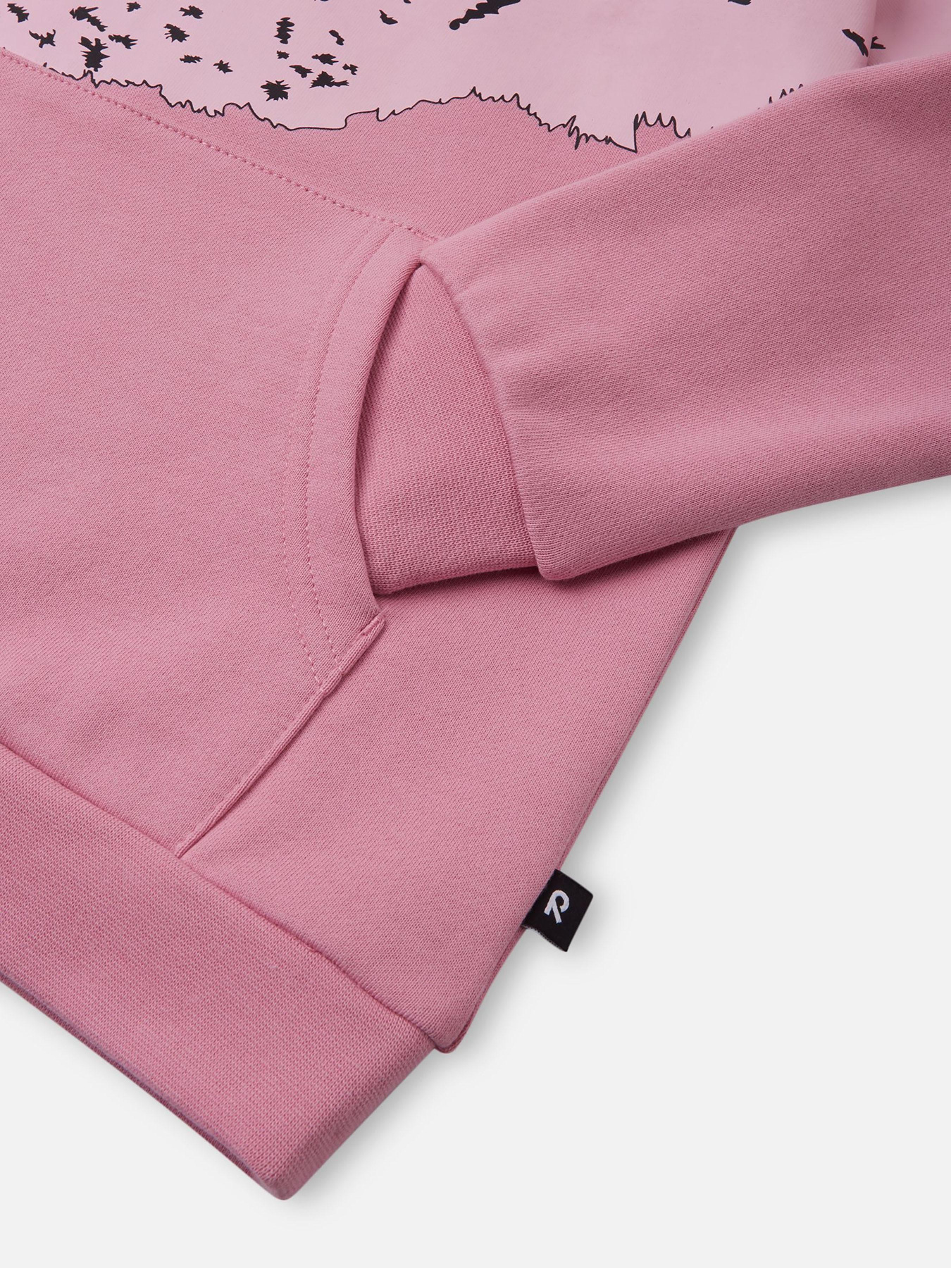 Світшот REIMA Vaanii модель 5200083A-4580 Фото