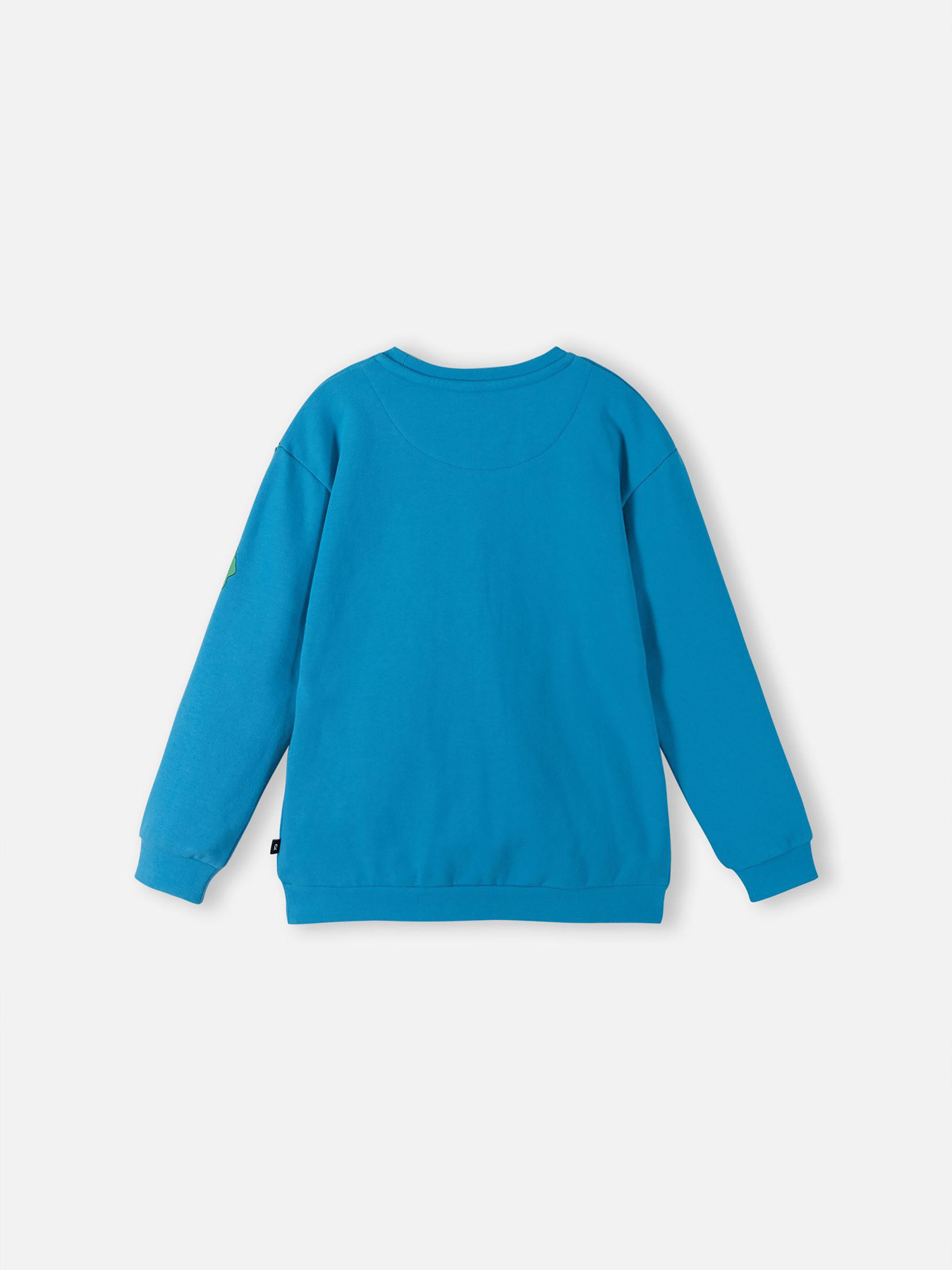 Світшот REIMA Vaanii модель 5200083A-6630 Світшот REIMA Vaanii модель 5200083A-6630 Фото