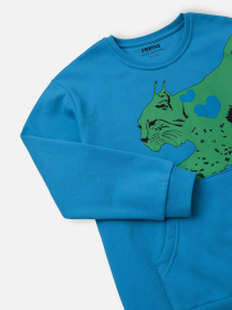 Світшот REIMA Vaanii модель 5200083A-6630 Світшот REIMA Vaanii модель 5200083A-6630 Фото