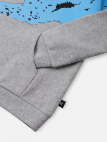 Свитшот REIMA VAANII модель 5200083A-9150 Фото