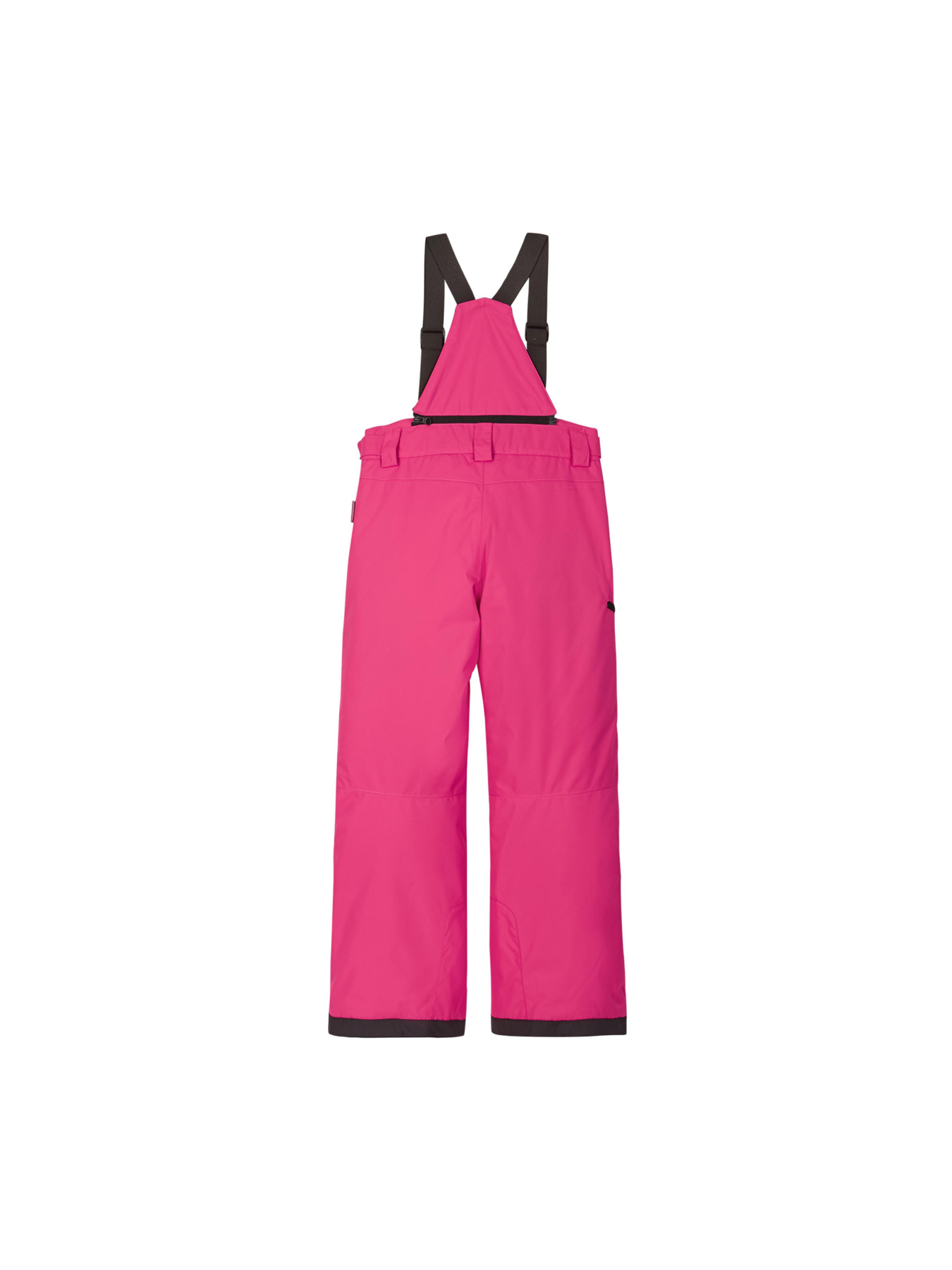 Лыжные штаны REIMA Terrie модель 532186-3530 Фото