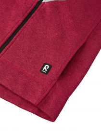 Кофта REIMA NEUVOKAS модель 536655-4550 Фото