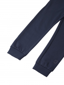 Джоггеры REIMA Siivo модель 536687-6980 Фото