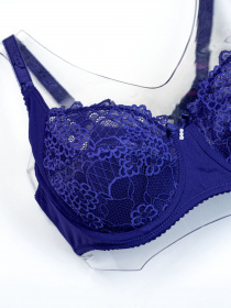 Бюстгальтер ISSA Plus модель BL2-765_blue Фото