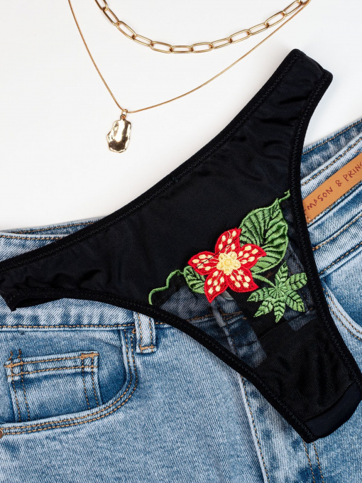 Трусы ISSA Plus модель BL2-819_black Фото