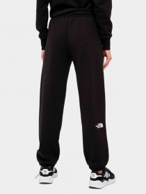 Брюки The North Face модель NF0A7ZJFJK31 Фото