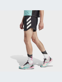 Шорти спортивні Adidas Terrex модель GL1208 Фото