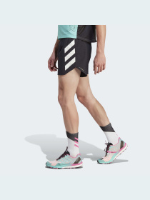 Спортивні шорти Adidas Terrex модель GL1208 Фото