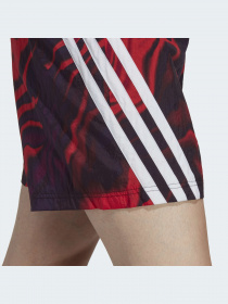 Шорти Adidas модель IC8253 Фото