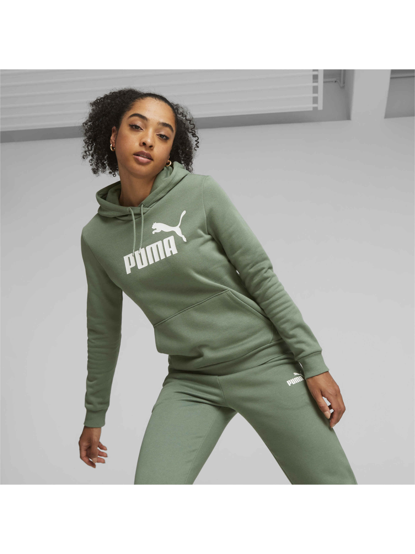 Худи PUMA ESS Logo Hoodie FL (s) модель 586789 Фото