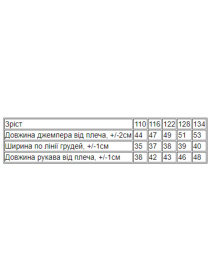 Свитшот Носи своє модель 6069-024-5-hello-buzok Фото